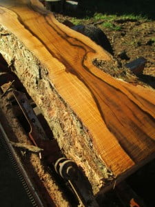 Jamaican fiddlewood guitar making
