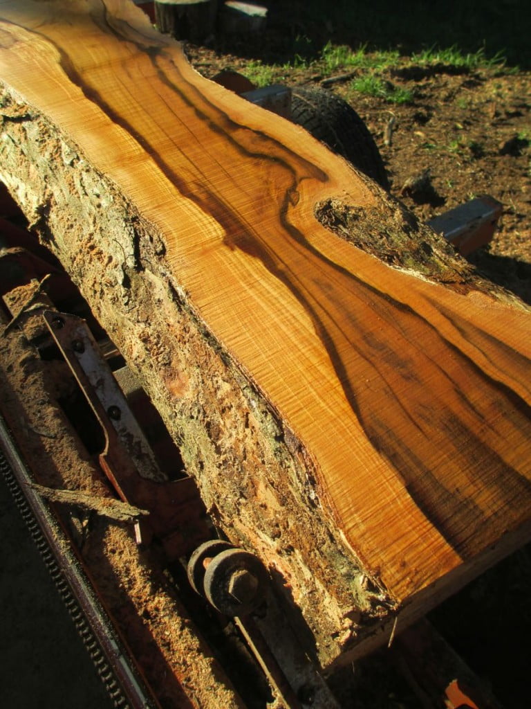 Jamaican fiddlewood guitar making