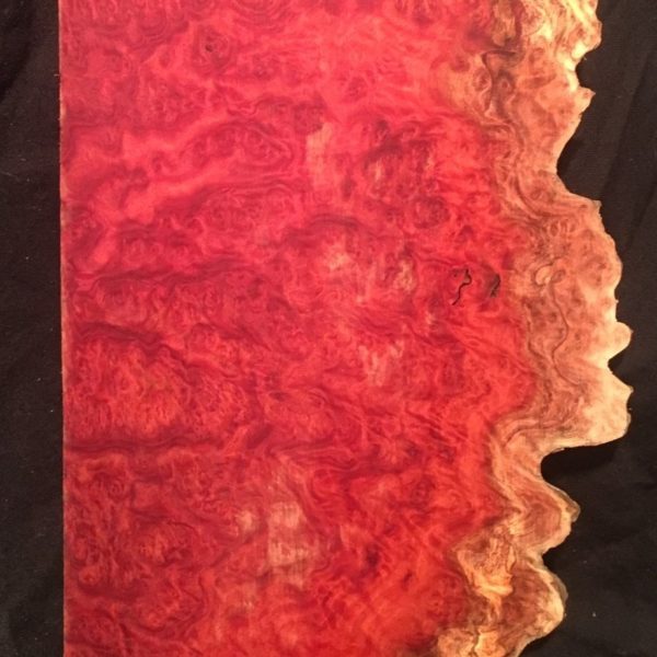 Red Mallee Burl