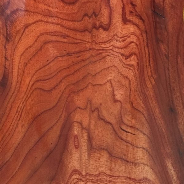 Queensland Red Cedar
