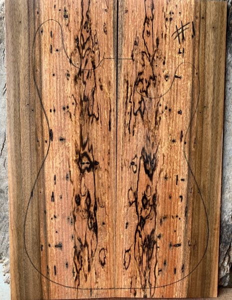 Queensland Walnut