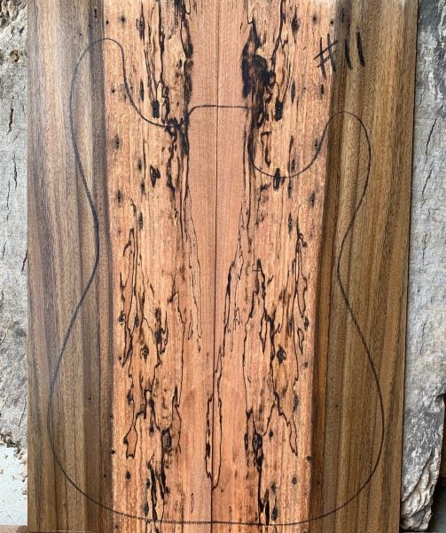 Spalted Queensland Walnut