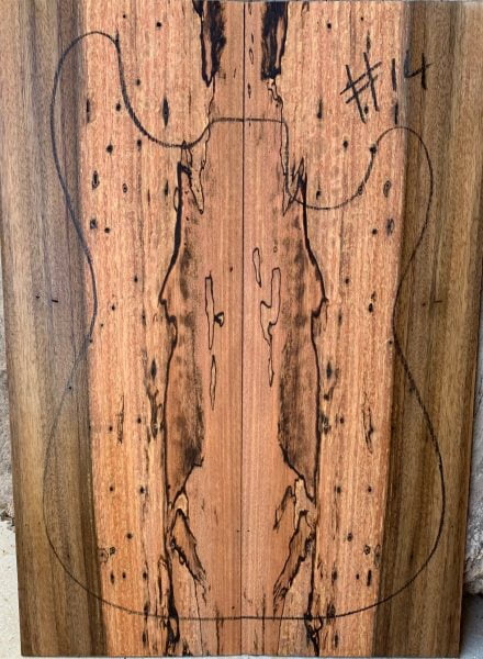 Spalted Queensland Walnut