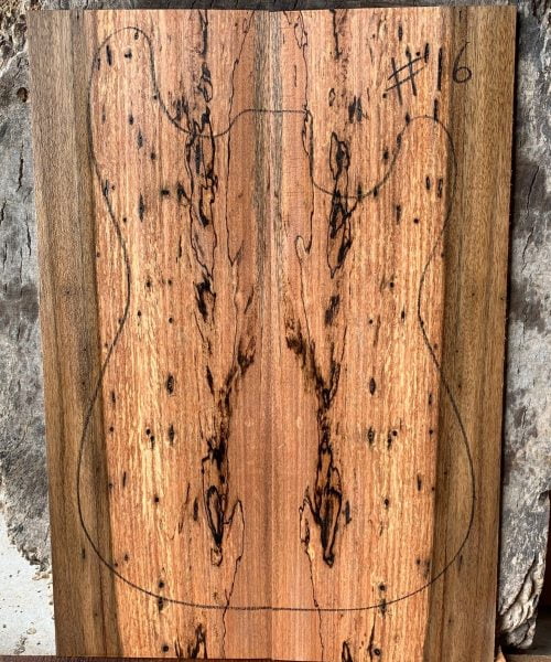 Spalted Queensland Walnut