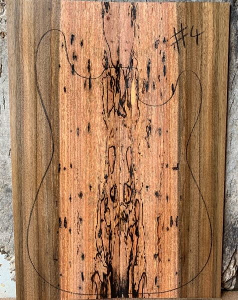 Queensland Walnut