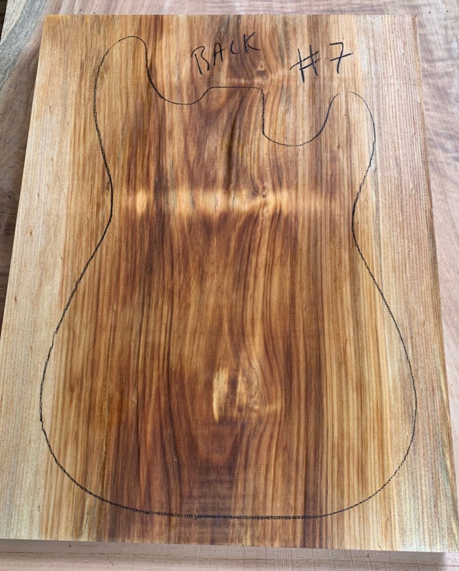 Electric guitar body instrument timber