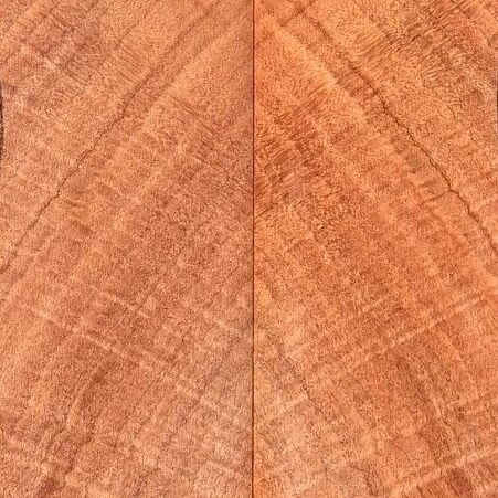 Silkwood Maple