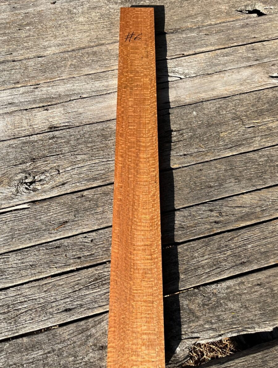 Australian Lacewood acoustic or electric neck timber