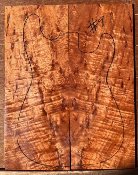 Queensland Maple Electric Guitar TOP