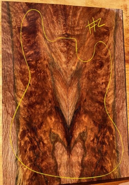 River Oak Electric Guitar Top