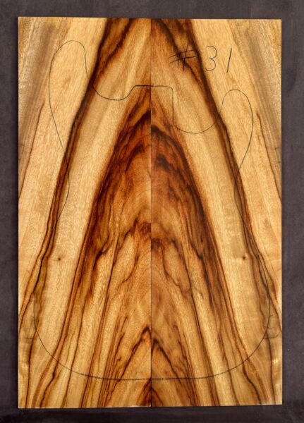 Camphor Laurel TOP