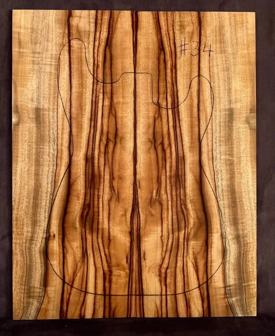 Camphor Laurel TOP