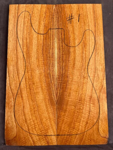 White Cedar TOP