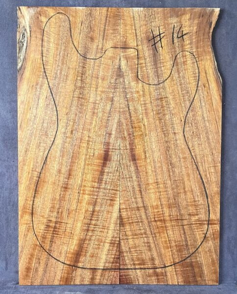 Electric guitar CAP Tonewood