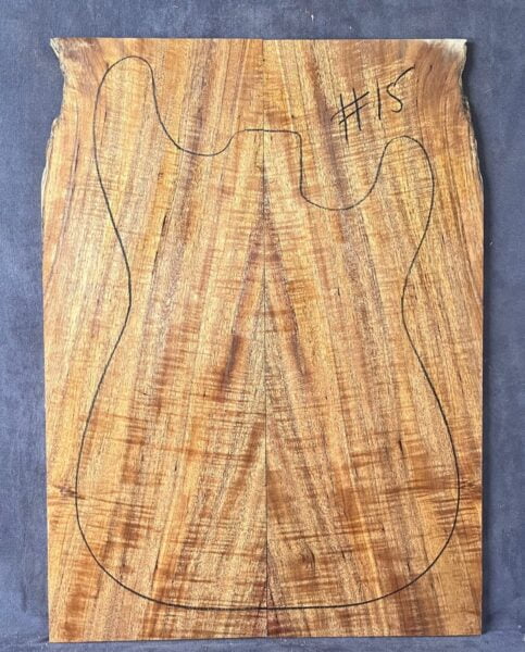 Electric guitar CAP Tonewood