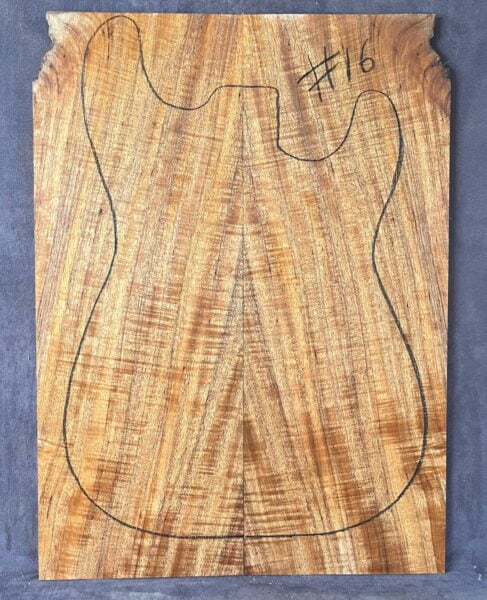 Electric guitar CAP Tonewood