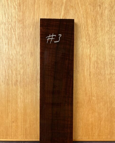 Ringed Gidgee Acoustic Guitar Bridge