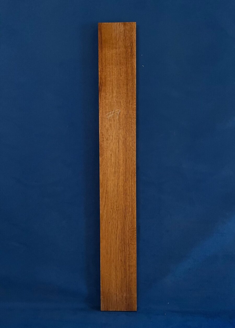 Blackwood Guitar Neck Tonewood