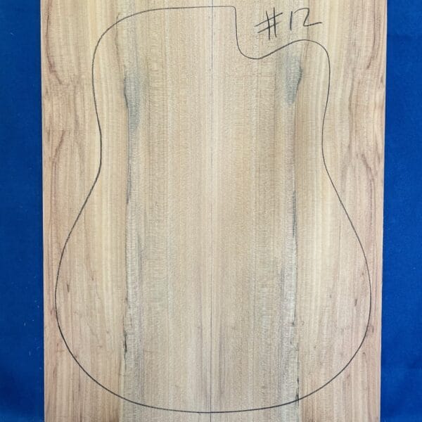 Acoustic Guitar Soundboard in Bunya Pine