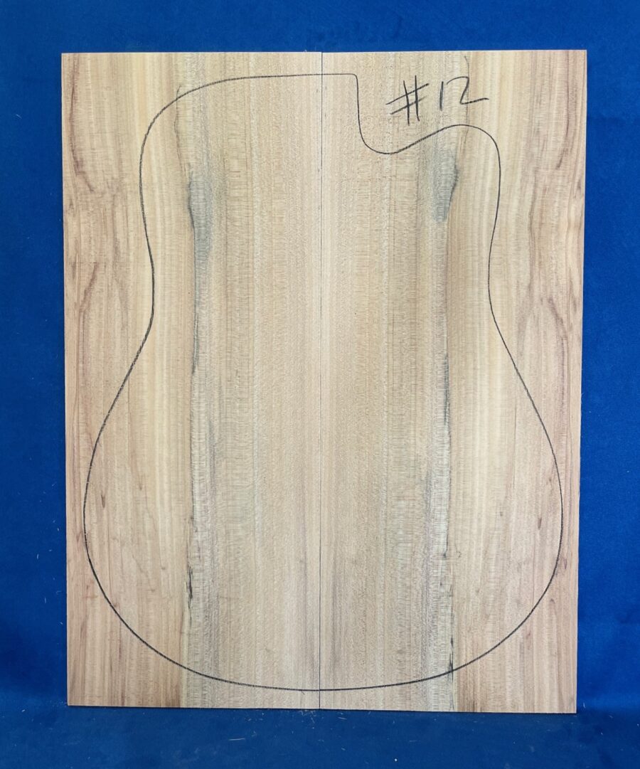 Acoustic Guitar Soundboard in Bunya Pine