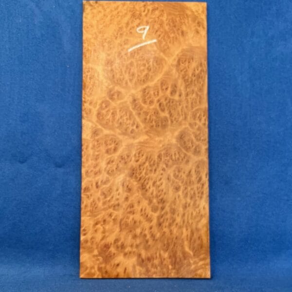 Guitar Headstock Veneer instrument timber