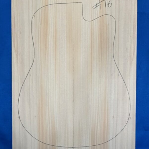 Acoustic guitar Kauri Pine Soundboard