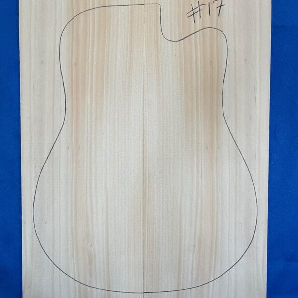 Acoustic guitar Kauri Pine Soundboard