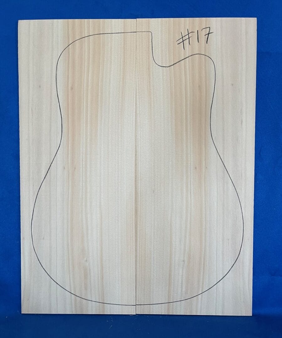 Acoustic guitar Kauri Pine Soundboard