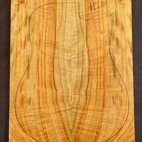 Camphor Laurel Acoustic Back and Side Tonewood