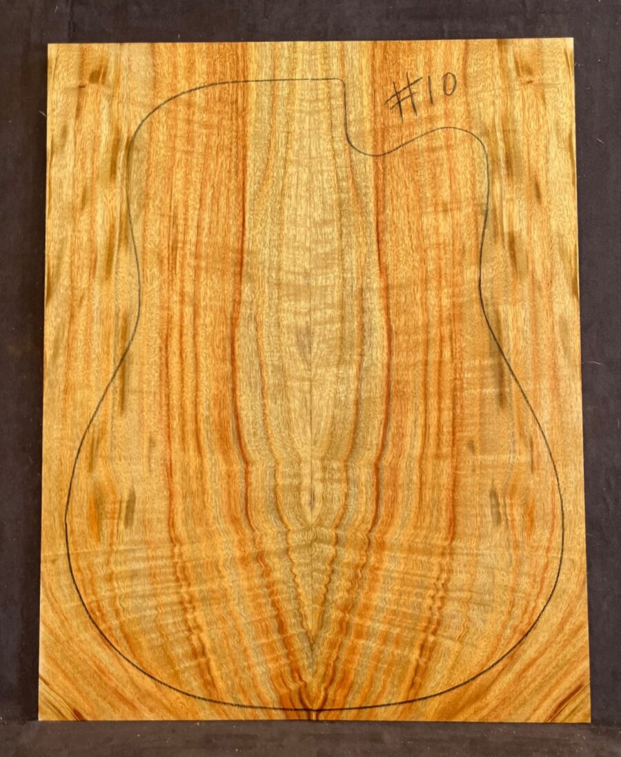 Camphor Laurel Acoustic Back and Side Tonewood