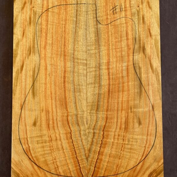 Camphor Laurel Acoustic Back and Side Tonewood