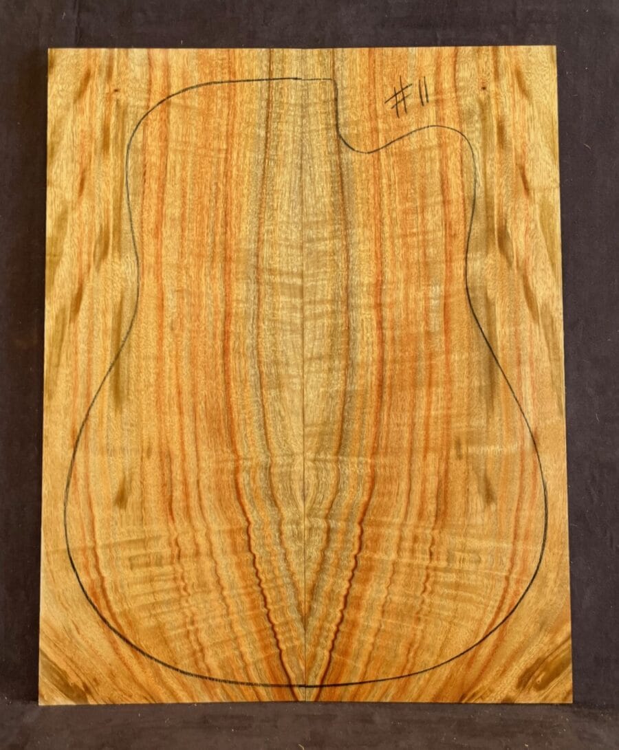 Camphor Laurel Acoustic Back and Side Tonewood