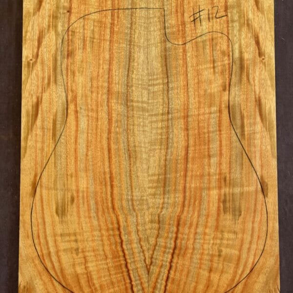 Camphor Laurel Acoustic Back and Side Tonewood