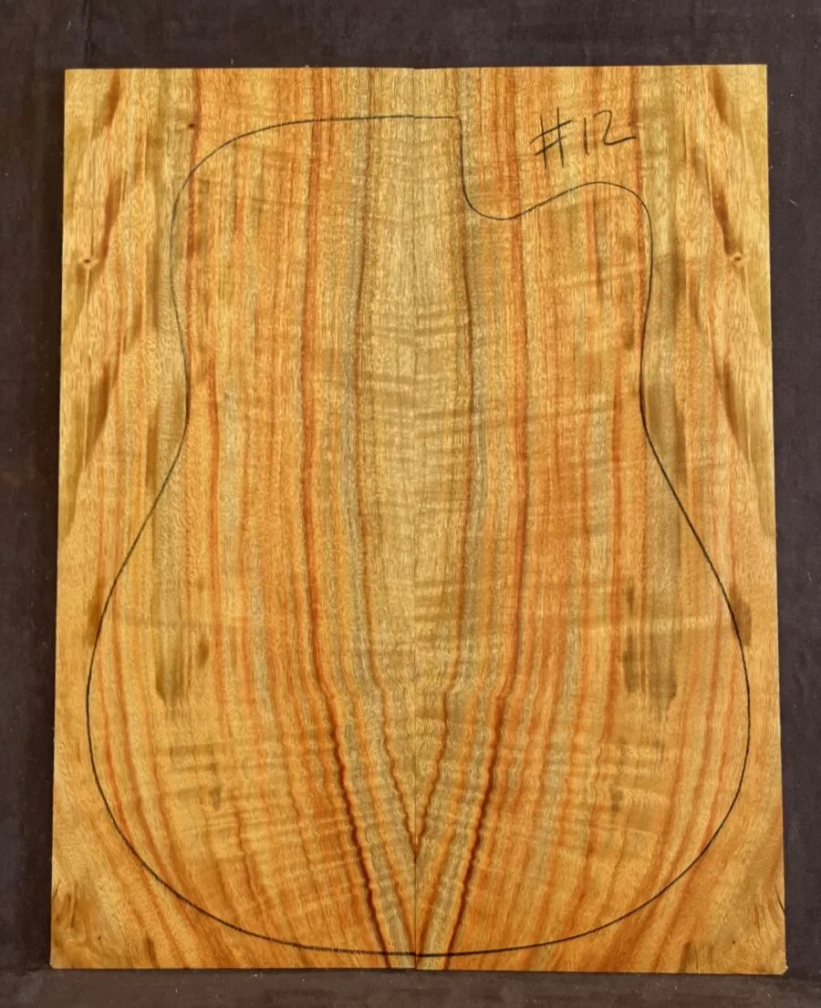 Camphor Laurel Acoustic Back and Side Tonewood