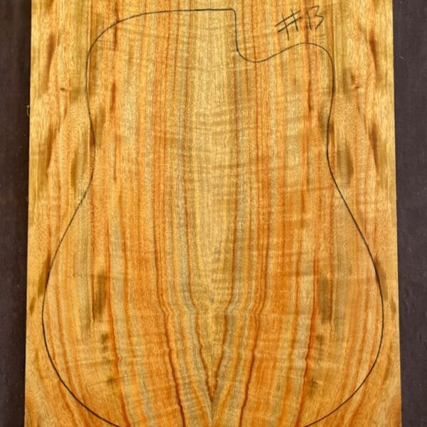 Camphor Laurel Acoustic Back and Side Tonewood