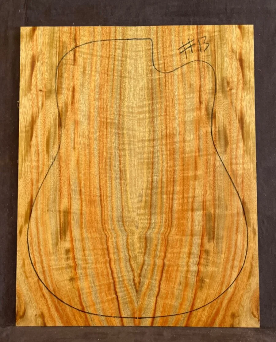 Camphor Laurel Acoustic Back and Side Tonewood