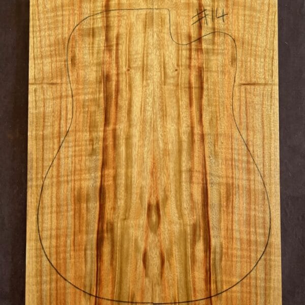 Camphor Laurel Acoustic Back and Side Tonewood