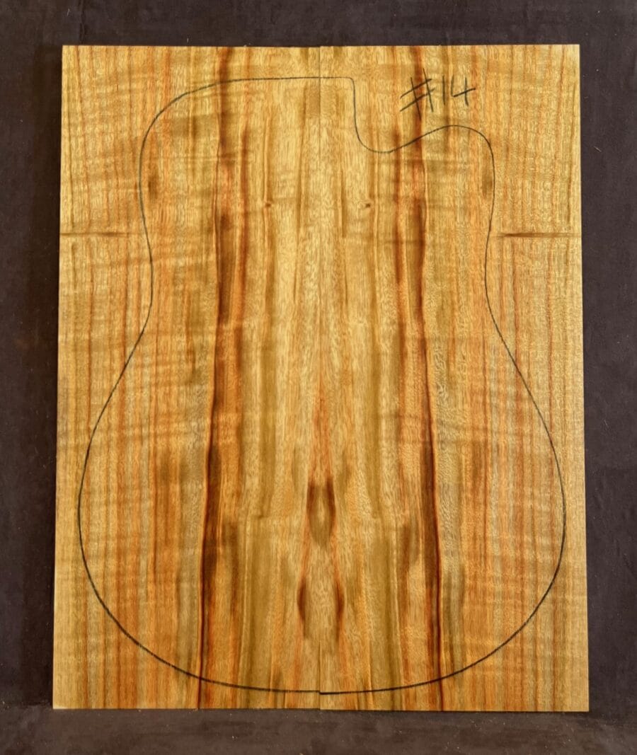 Camphor Laurel Acoustic Back and Side Tonewood