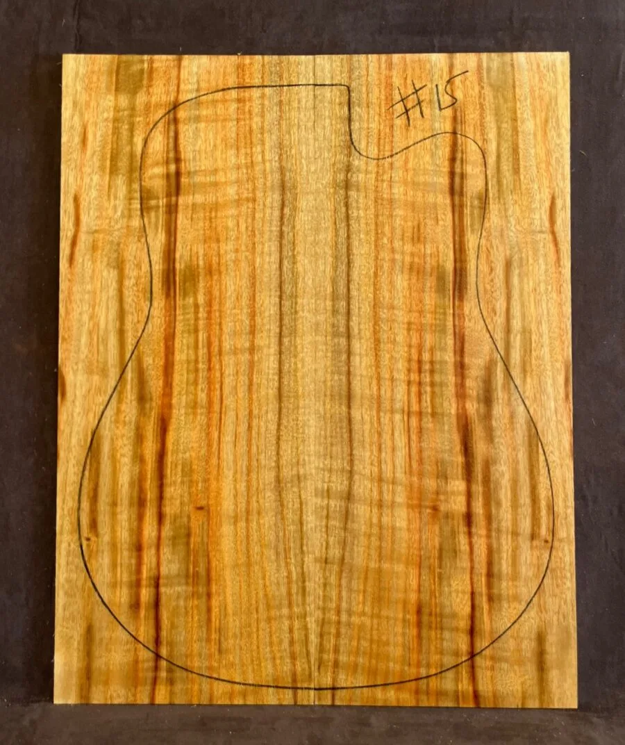 Camphor Laurel Acoustic Back and Side Tonewood