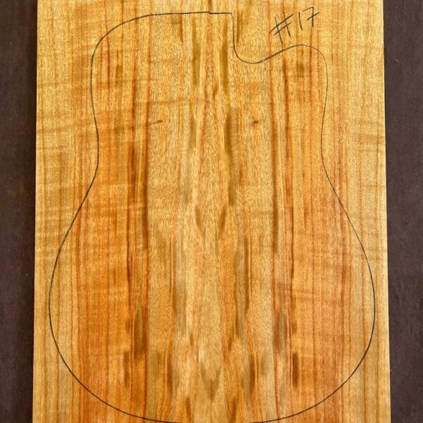 Camphor Laurel Acoustic Back and Side Tonewood