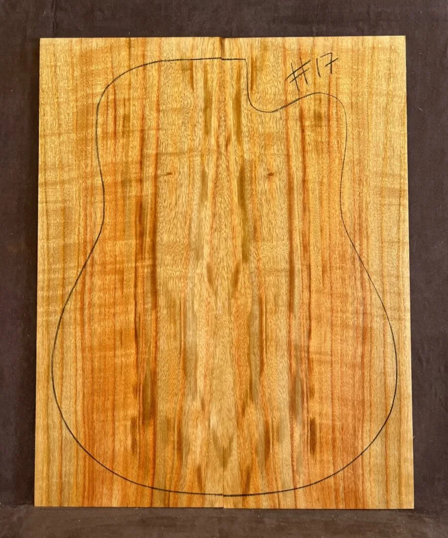 Camphor Laurel Acoustic Back and Side Tonewood