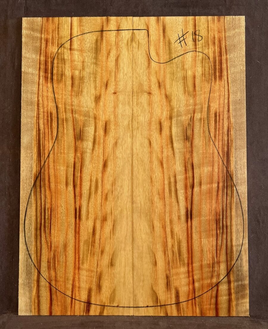 Camphor Laurel Acoustic Back and Side Tonewood