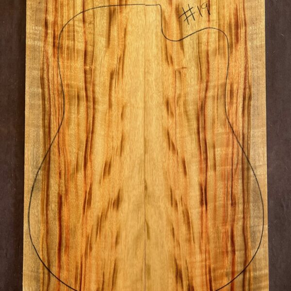 Camphor Laurel Acoustic Back and Side Tonewood