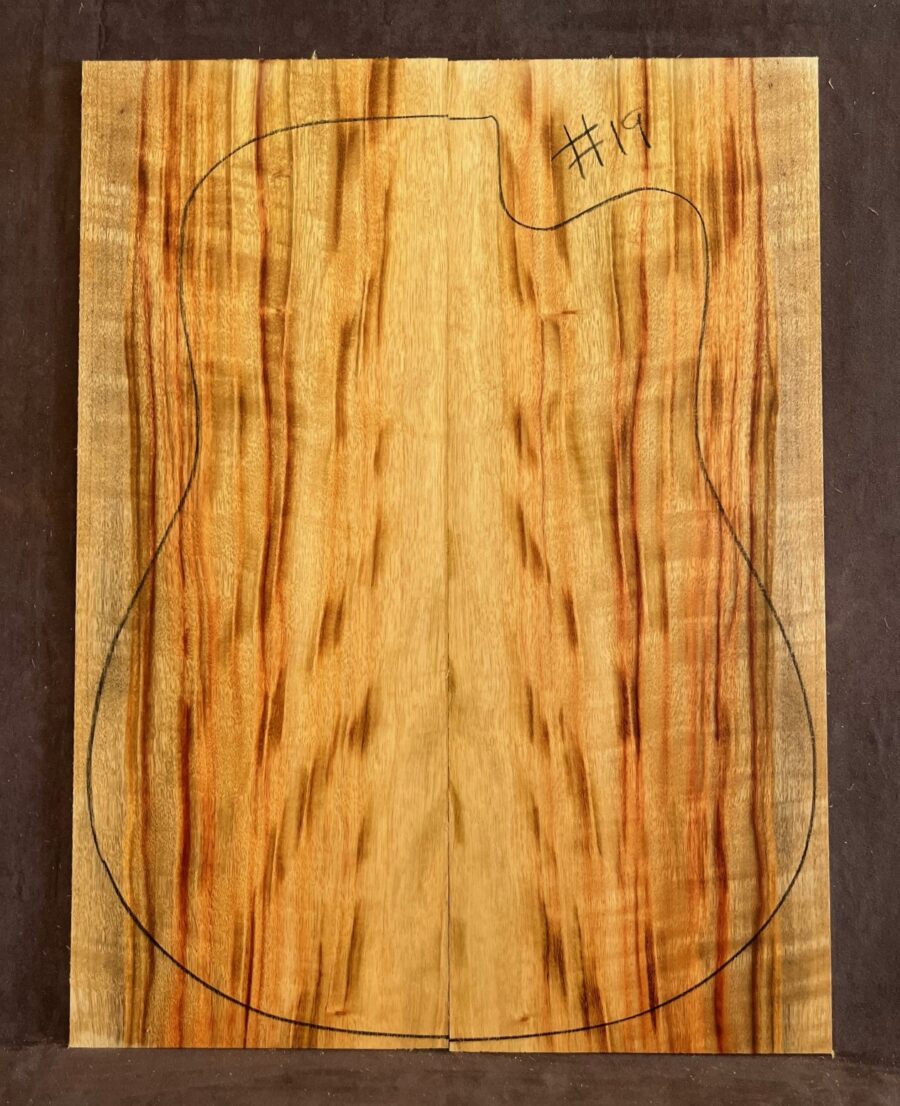 Camphor Laurel Acoustic Back and Side Tonewood