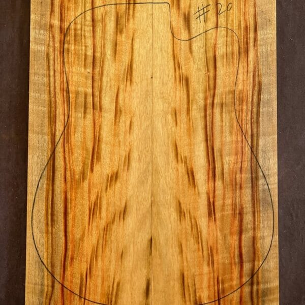 Camphor Laurel Acoustic Back and Side Tonewood