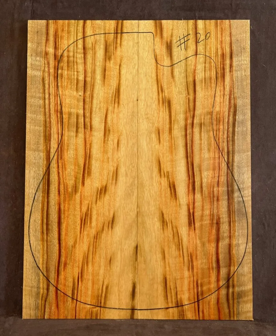 Camphor Laurel Acoustic Back and Side Tonewood