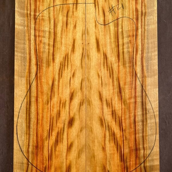 Camphor Laurel Acoustic Back and Side Tonewood