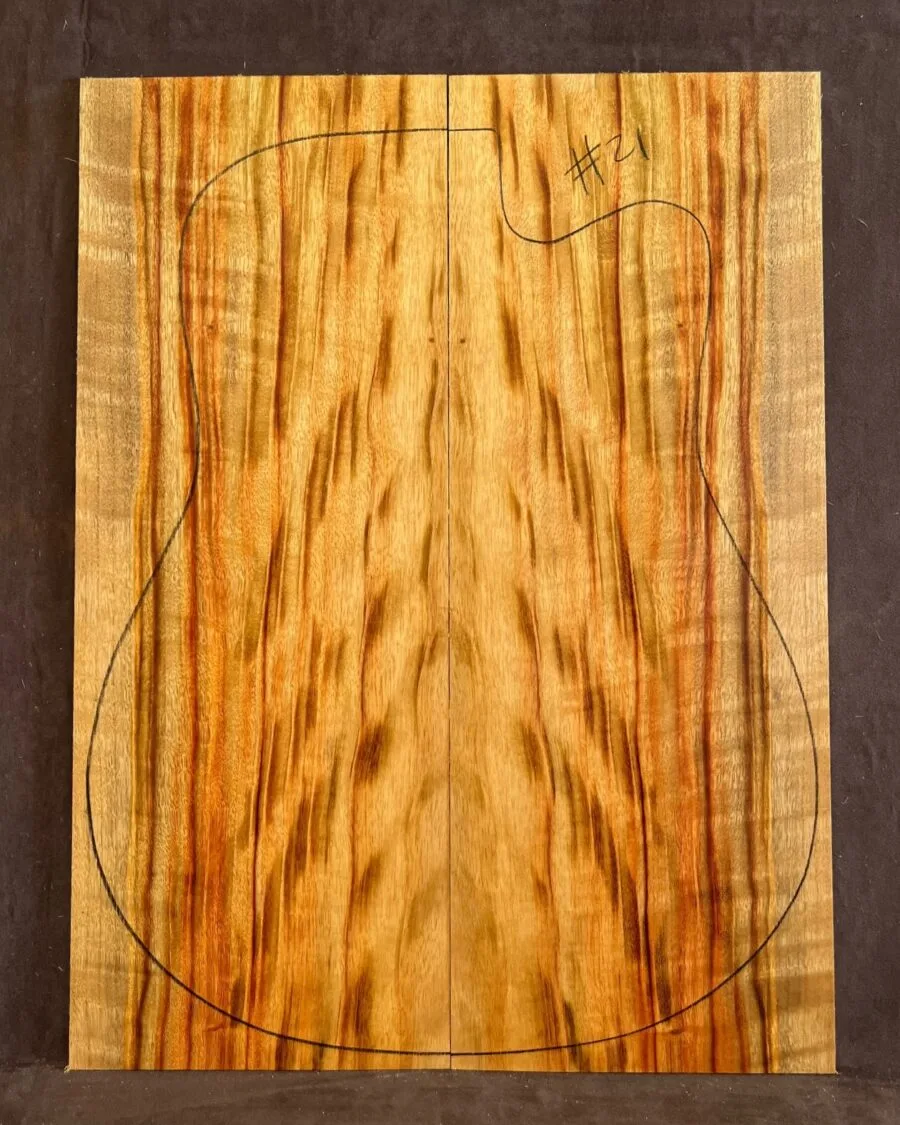 Camphor Laurel Acoustic Back and Side Tonewood