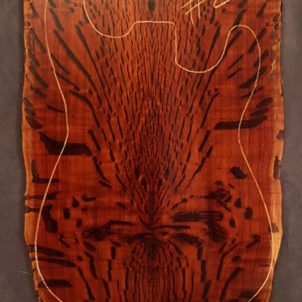 Flame Sheoak Electric Guitar TOP