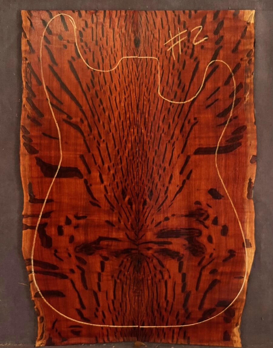 Flame Sheoak Electric Guitar TOP